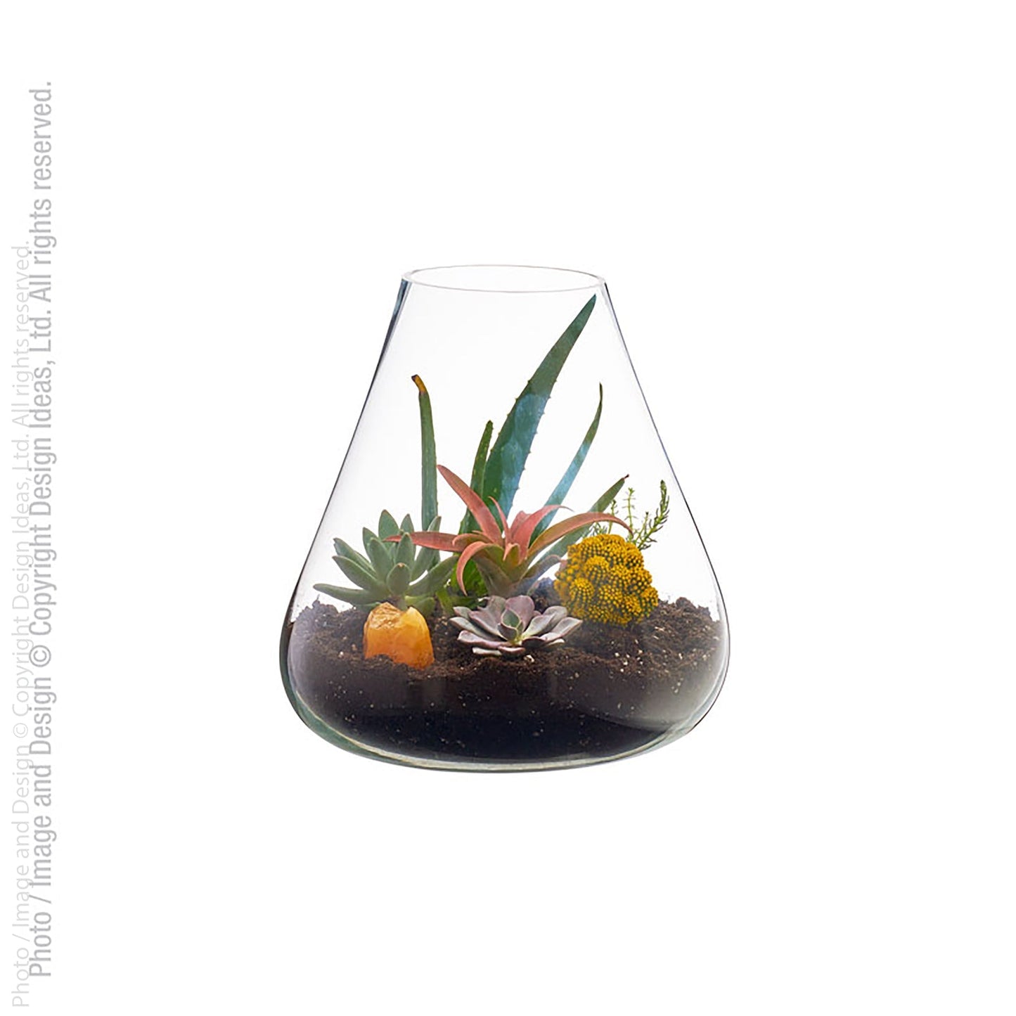 Bubble Glass Terrariums